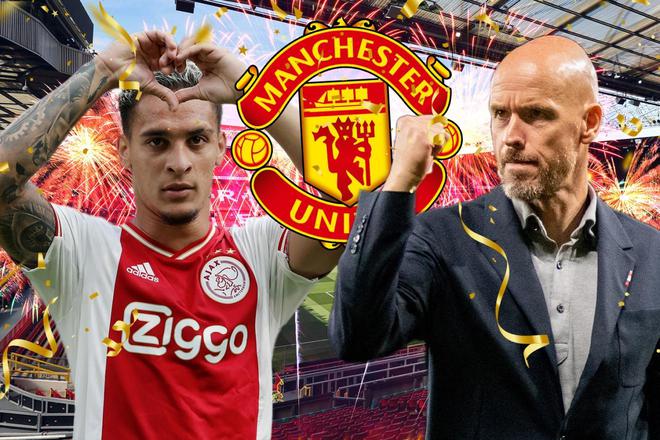 藕在湖泊生 藕在湖泊生