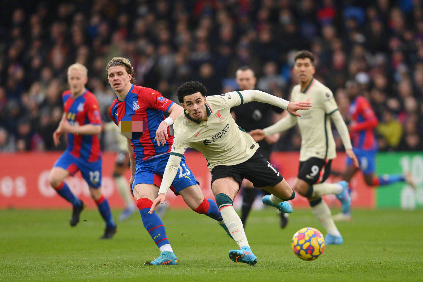 其顽强的精 其顽强的精